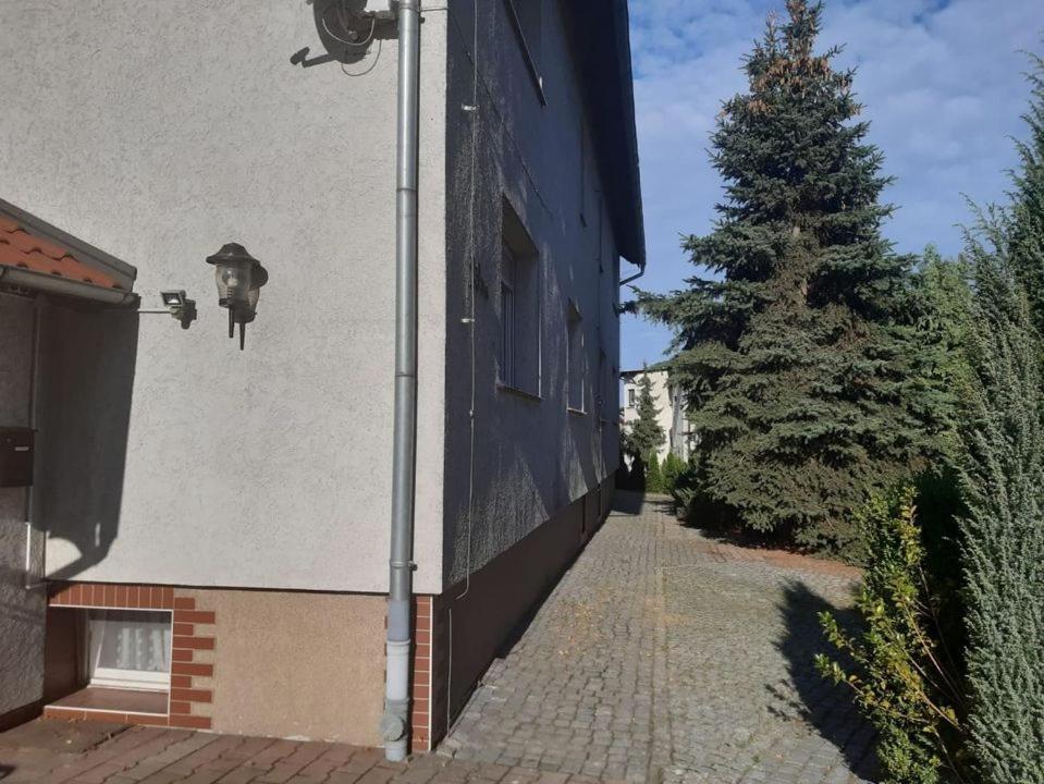 Noclegi Nowogrodziec Dış mekan fotoğraf